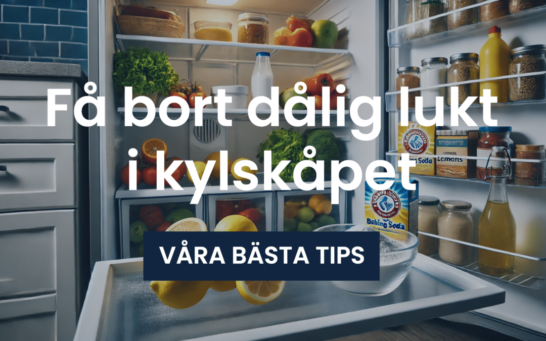 Guide: Få bort dålig lukt i kylskåpet